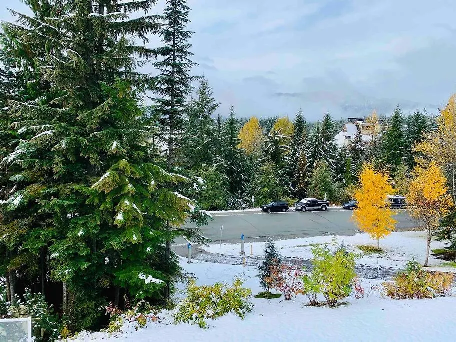 Wildwood Lodge By Cozystay Signature Whistler